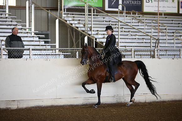 AHANC_Show18_SatAM_2317