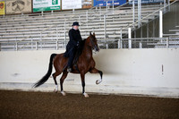 AHANC_Show18_SatAM_2321