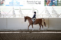Class 95 A/HA/AA Walk/Trot Hunter Pl 10 & Under