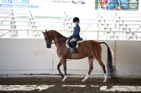AHANC_Show18_SatAM_2343