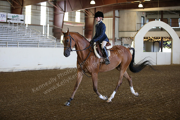 AHANC_Show18_SatAM_2346