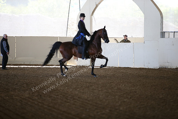 AHANC_Show18_SatAM_2328
