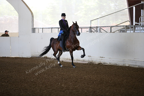 AHANC_Show18_SatAM_2329