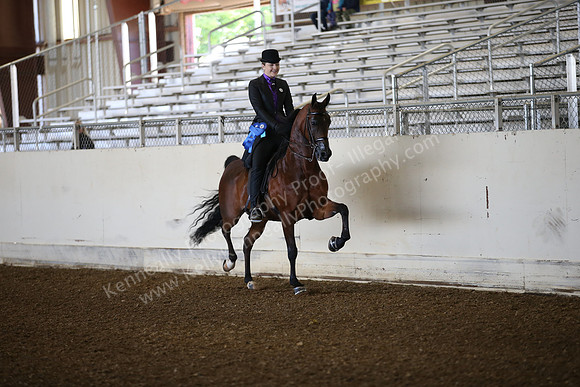 AHANC_Show18_SatAM_2332