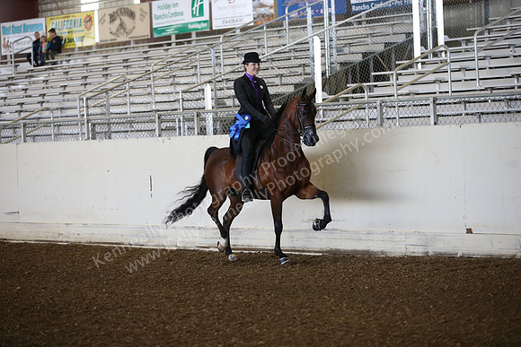 AHANC_Show18_SatAM_2333