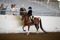 AHANC_Show18_SatAM_2349