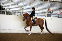 AHANC_Show18_SatAM_2350