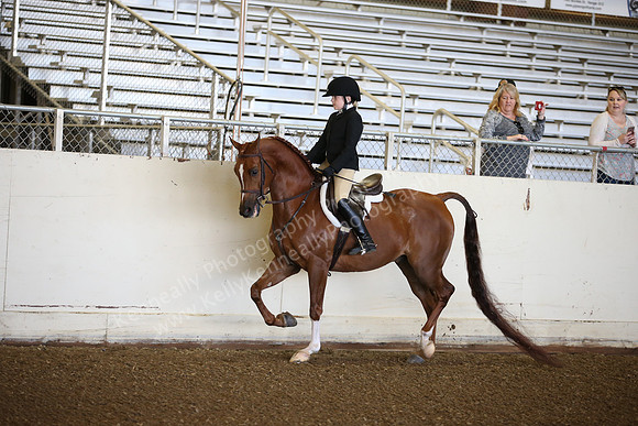 AHANC_Show18_SatAM_2350