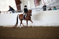 AHANC_Show18_SatAM_2351