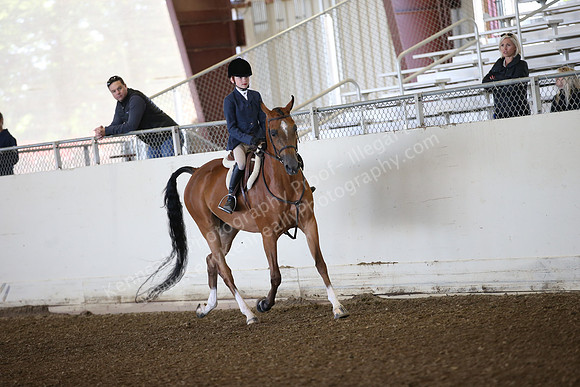 AHANC_Show18_SatAM_2354
