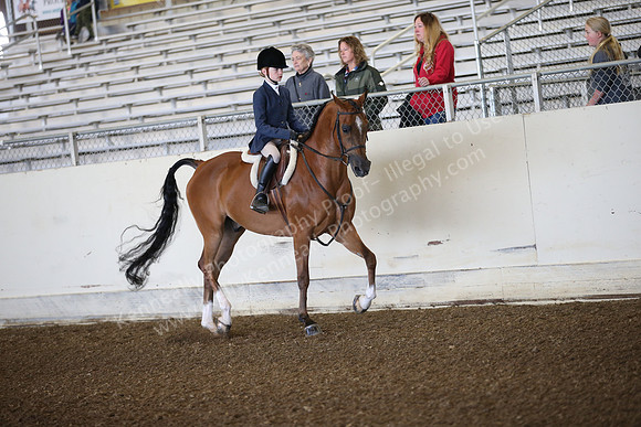 AHANC_Show18_SatAM_2356