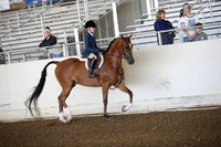 AHANC_Show18_SatAM_2357