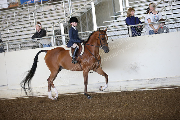 AHANC_Show18_SatAM_2357