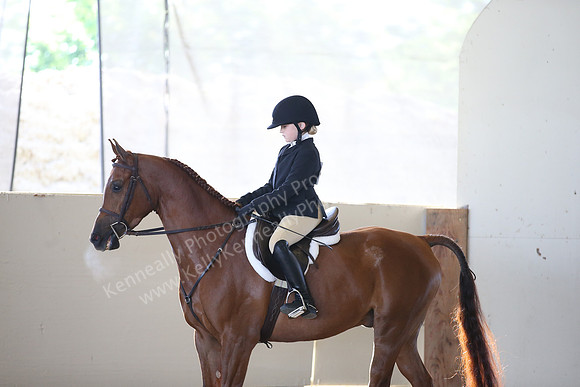 AHANC_Show18_SatAM_2367