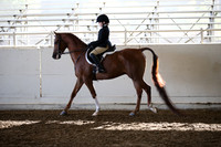 AHANC_Show18_SatAM_2370
