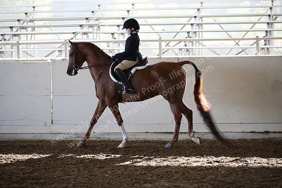 AHANC_Show18_SatAM_2370