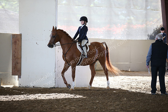 AHANC_Show18_SatAM_2371