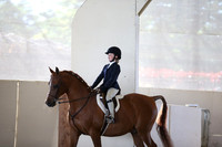 AHANC_Show18_SatAM_2372