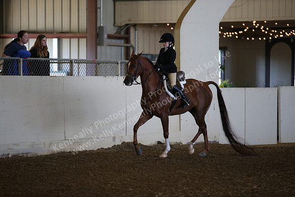 AHANC_Show18_SatAM_2381