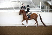 AHANC_Show18_SatAM_2384