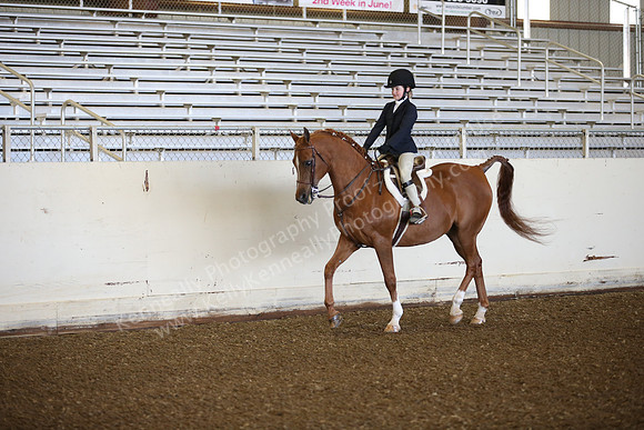 AHANC_Show18_SatAM_2388