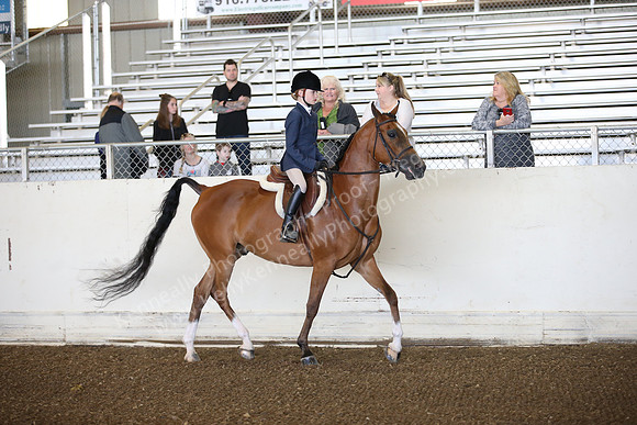 AHANC_Show18_SatAM_2391