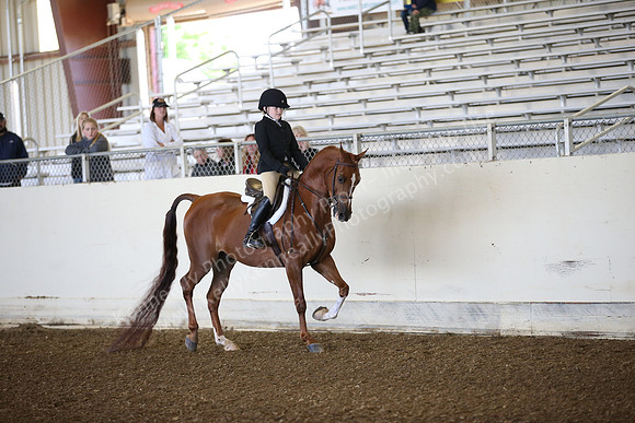 AHANC_Show18_SatAM_2393