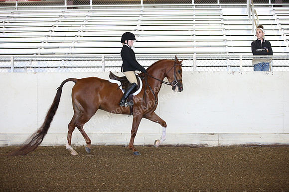 AHANC_Show18_SatAM_2395