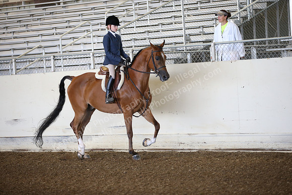 AHANC_Show18_SatAM_2398
