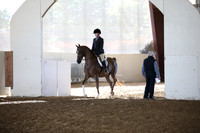 Class 98 Arabian Hunter Pl JTR 13 & Under