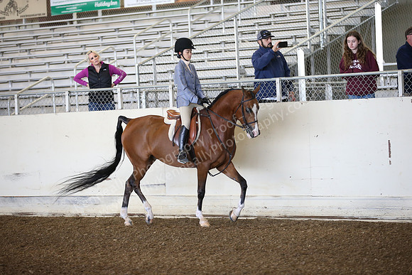 AHANC_Show18_SatAM_2434