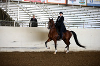 AHANC_Show18_SatAM_2467