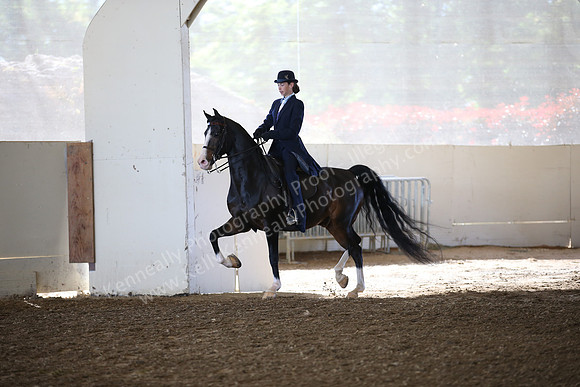 AHANC_Show18_SatAM_2457