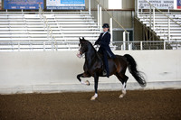 AHANC_Show18_SatAM_2465