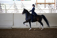 AHANC_Show18_SatAM_2458