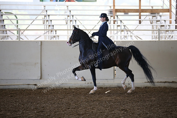 AHANC_Show18_SatAM_2458