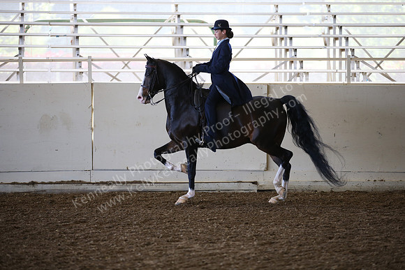 AHANC_Show18_SatAM_2459