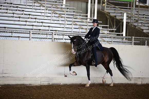 AHANC_Show18_SatAM_2472