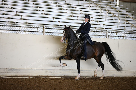 AHANC_Show18_SatAM_2473