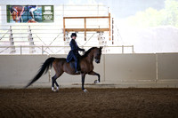 AHANC_Show18_SatAM_2478