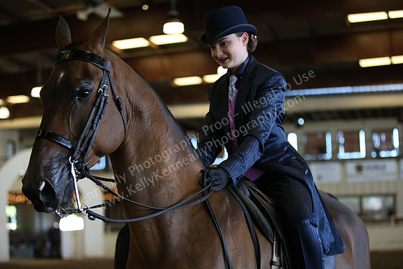 AHANC_Show18_SatAM_2488