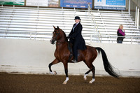 AHANC_Show18_SatAM_2469