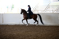 AHANC_Show18_SatAM_2460