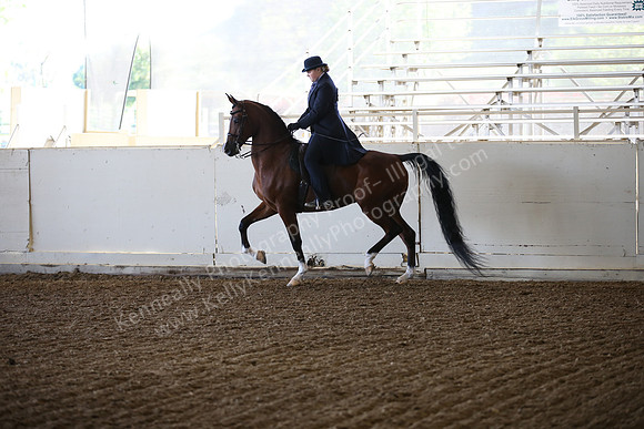 AHANC_Show18_SatAM_2460