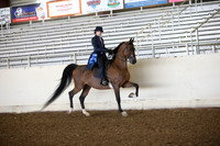 AHANC_Show18_SatAM_2493