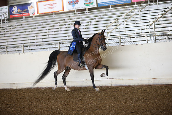 AHANC_Show18_SatAM_2493