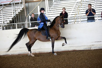 AHANC_Show18_SatAM_2495