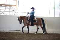 Class 100 HA/AA Western Pleasure Walk/Jog JTR