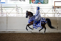 Class 103 HA/AA Mounted Native Costume ATR