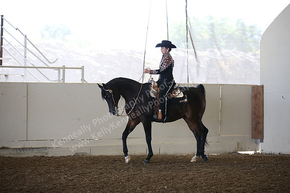 AHANC_Show18_SatAM_2590